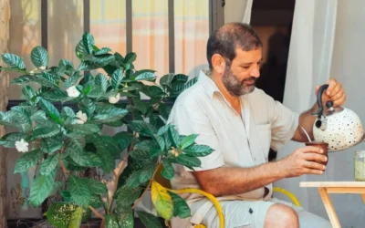 The Power of Yerba Mate: Boosts energy without the crash